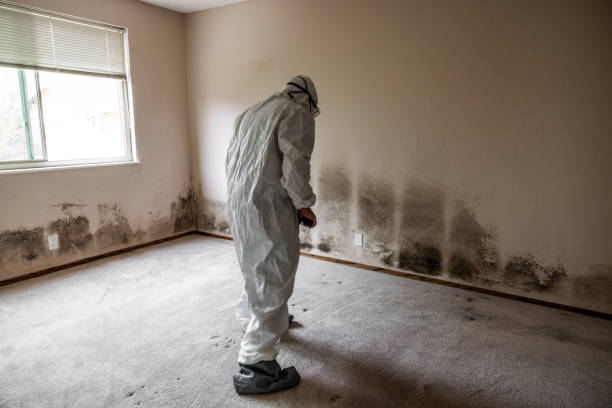 Best HVAC Mold Remediation in Dunlap, TN